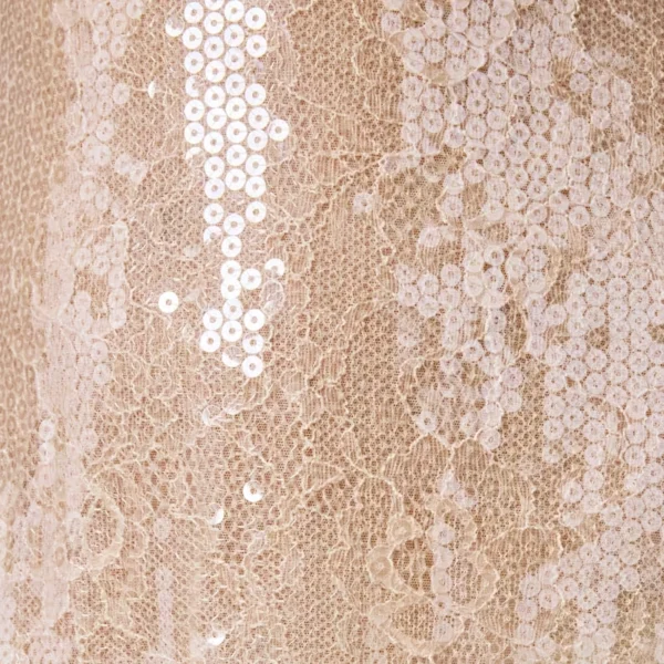 Embellished V-neck Lace Mini Dress in Pale Peach
