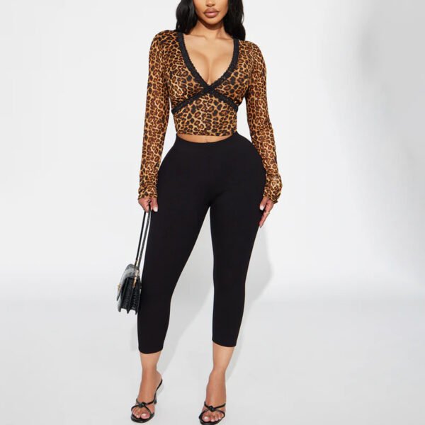 2 High Quality Leopard Mesh Long Sleeve Women Top