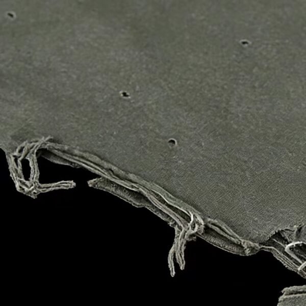 Distressed WUYI Gothic Logo Tee